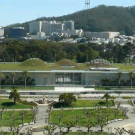 California Academy of Sciences