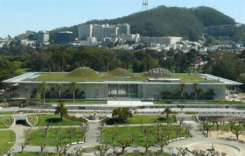 California Academy Of Sciences | WorldStrides