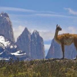 Torres del Paine National Park, Chile