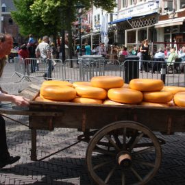 Alkmaar Cheese Market - Alkmaar, Holland