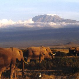 Amboseli National Park