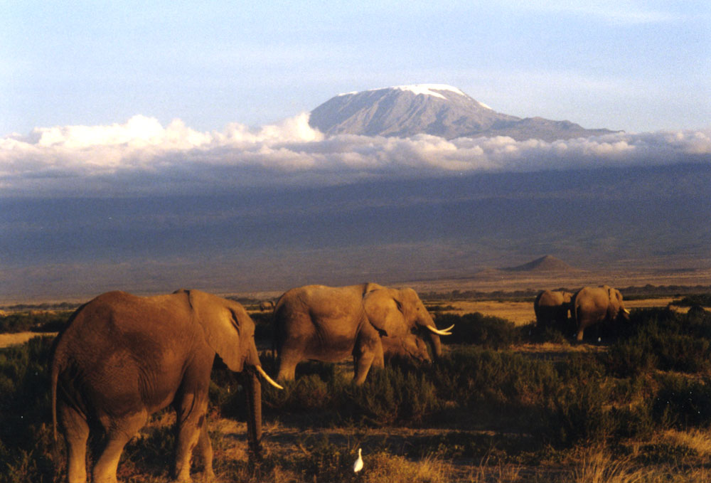 Amboseli National Park