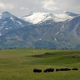 Waterton Lakes National Park