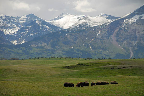 Waterton Lakes National Park