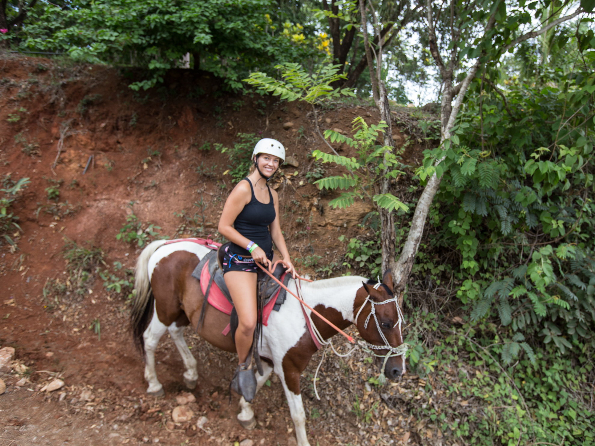 Horseback Ride and Scenic Waterfall Swim, Costa Rica
