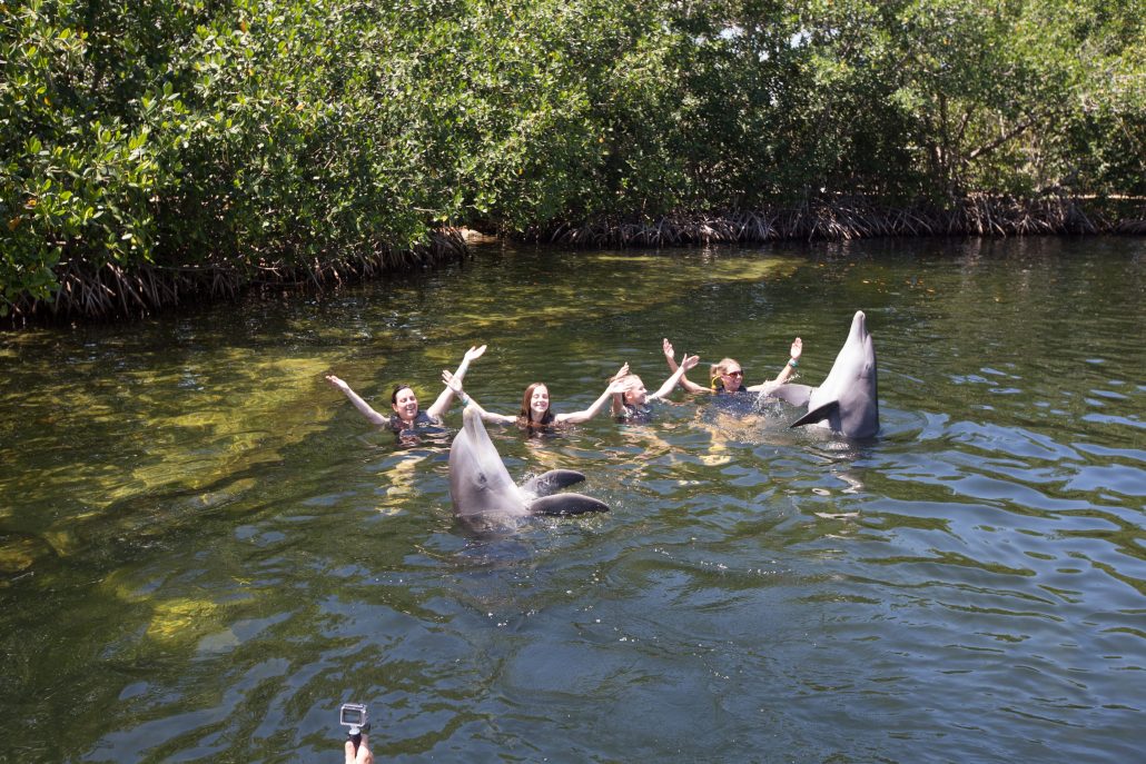 Worldstrides Florida Keys, FloridaDolphin Swim