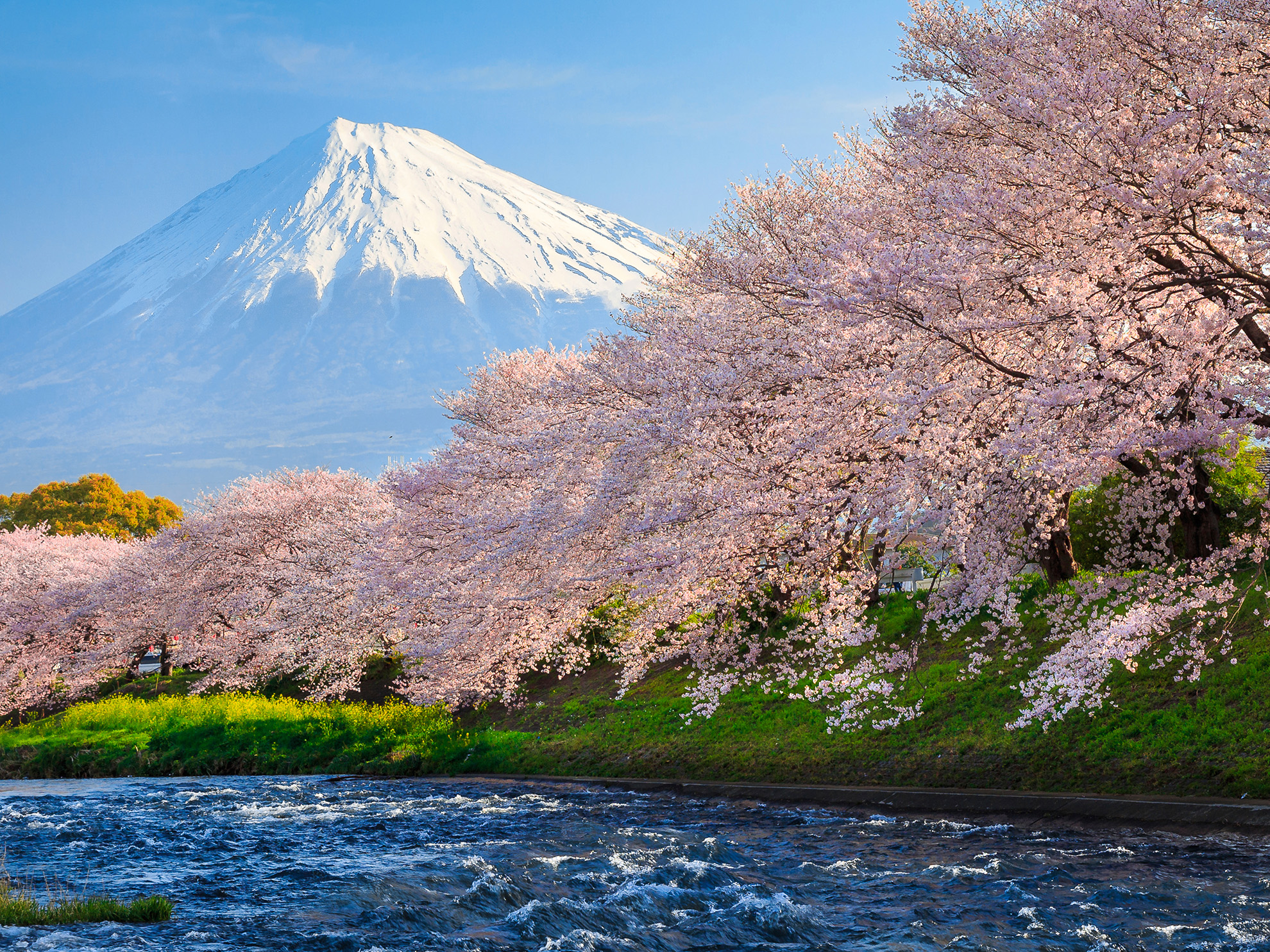 Student Trips & Educational Tours to Japan | WorldStrides