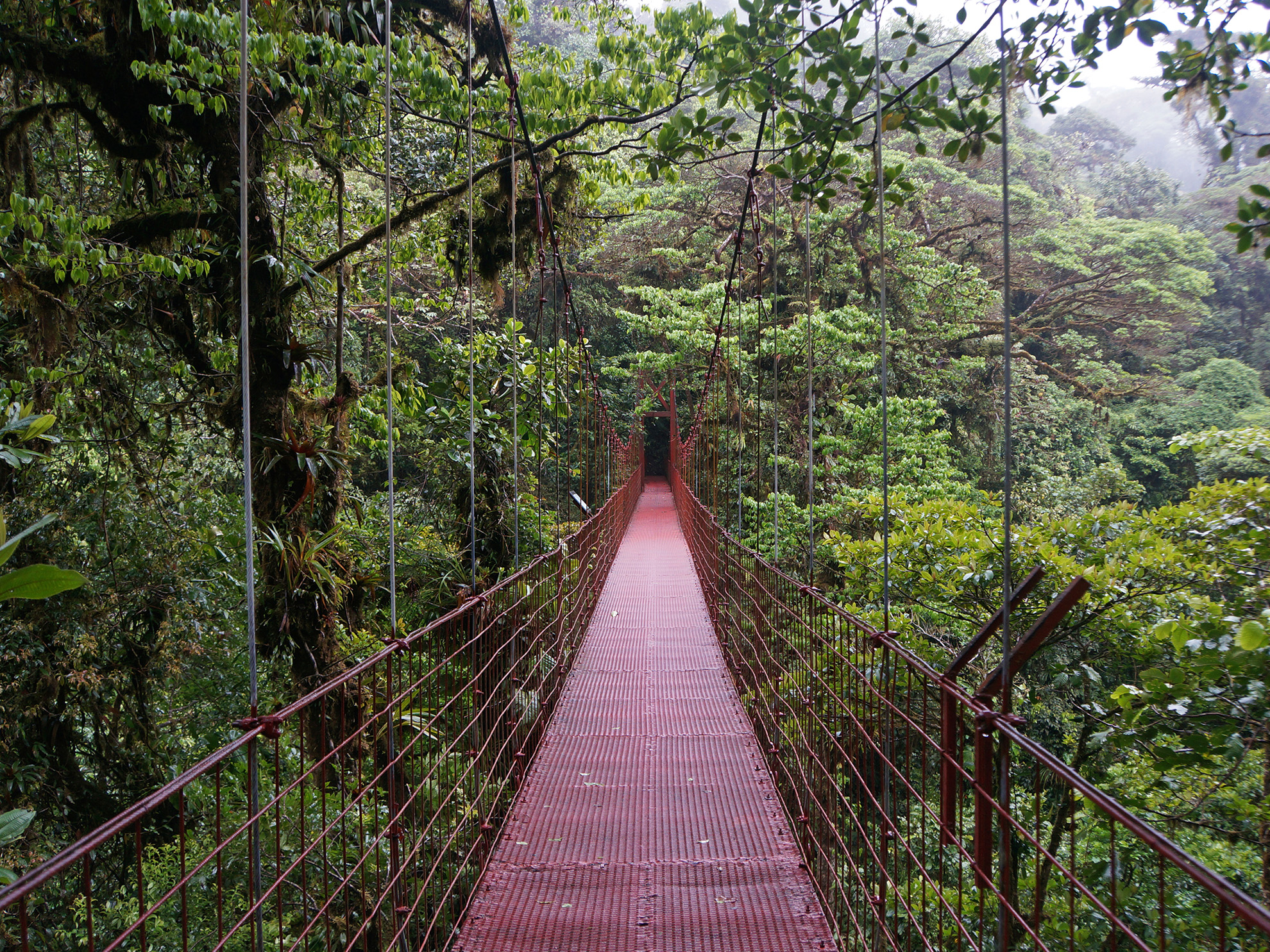 STEM Costa Rica: Tropical Ecosystems | WorldStrides