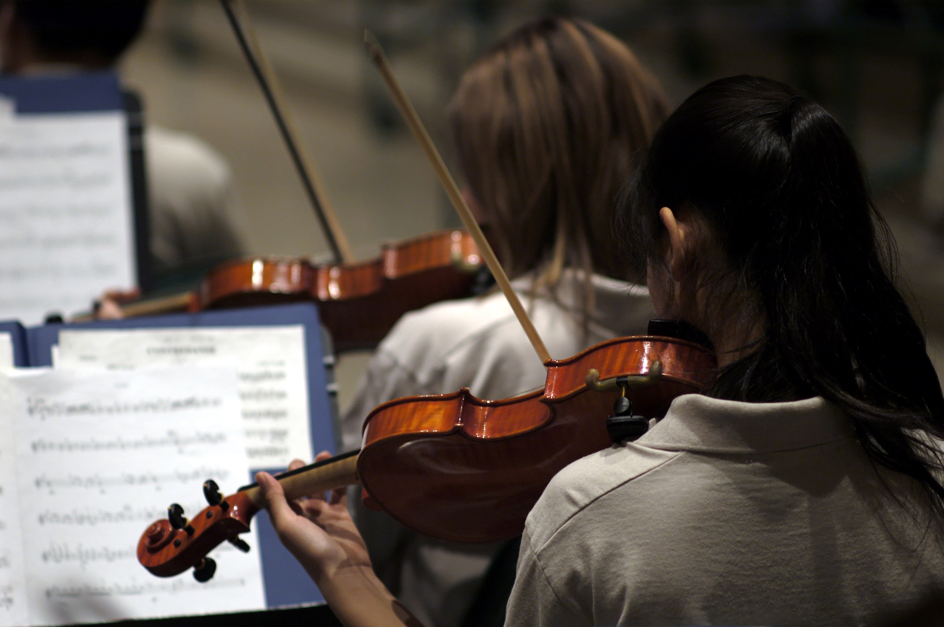 Обработке слушать. Music teacher and Orchestra. Music-Appreciation-classes. I Play the Violin in the College Orchestra.. Appreciate Music.