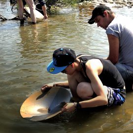 Panning for Gold in California