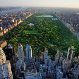 Central Park - NYC, New York