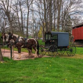 A horse drawn Amish buggy next to a bridge - Lancaster, Pennsylvania