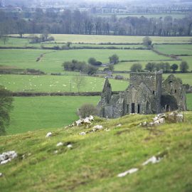 Abbey Ruin