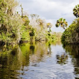 Florida Programs