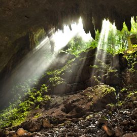 Rio Camuy Cave Puerto Rico