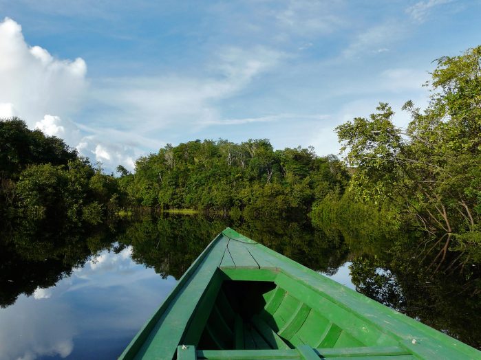 Ecological Reserve Volunteer