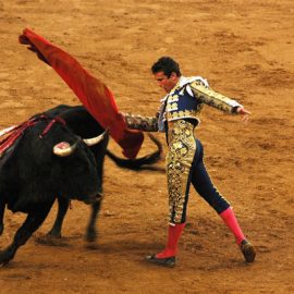 Bull Fighting in Spain