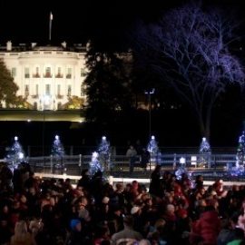 White House Christmas Tree