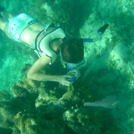 John Pennekamp Coral Reef State Park