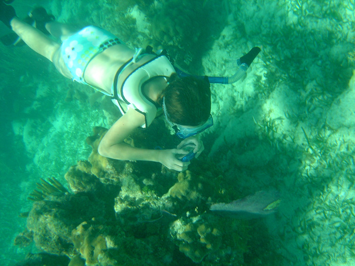 John Pennekamp Coral Reef State Park