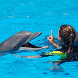 Miami Seaquarium