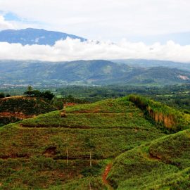 Costa Rica Farmland