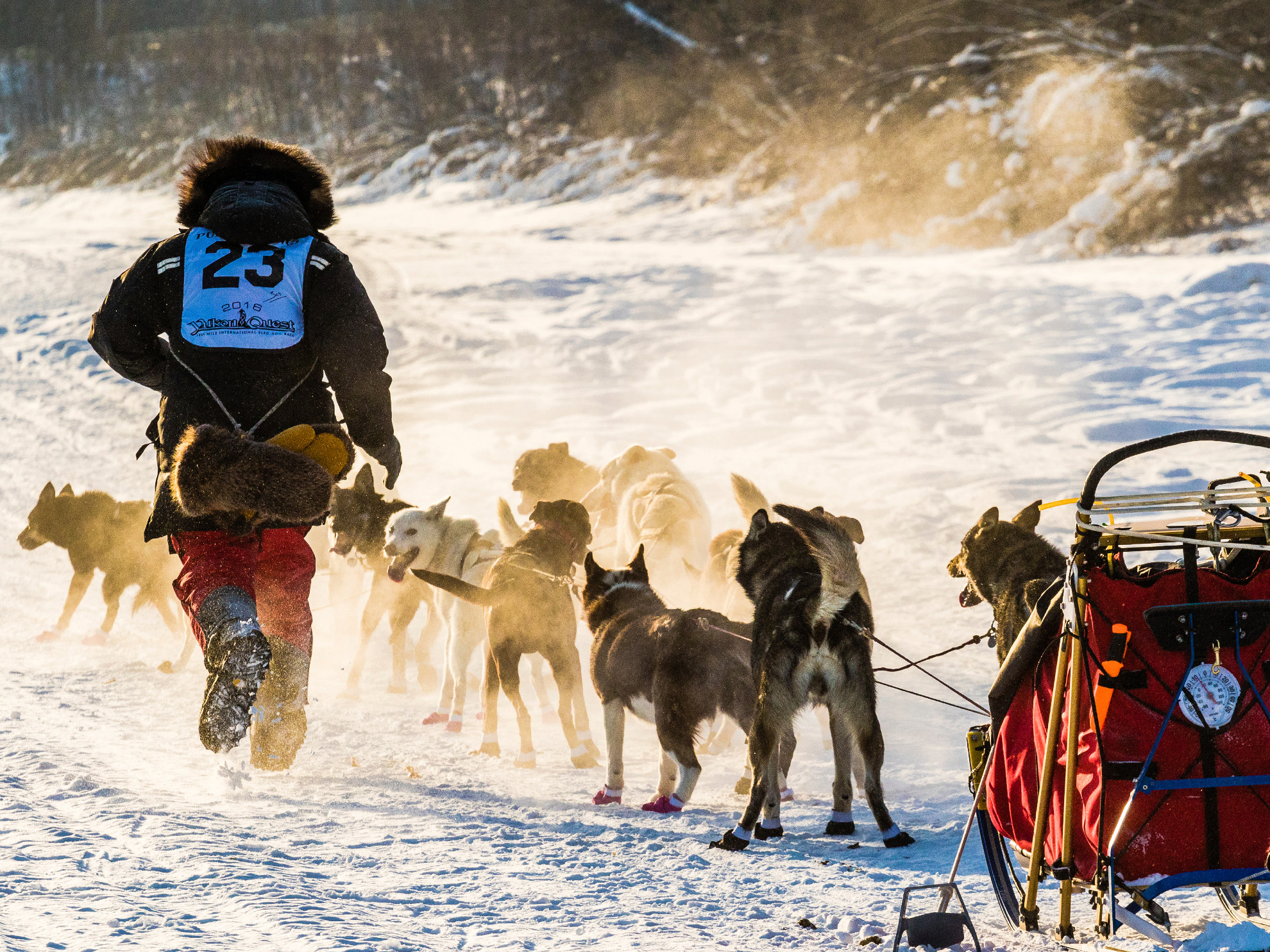 Iditarod Dog Sled Race Alaska