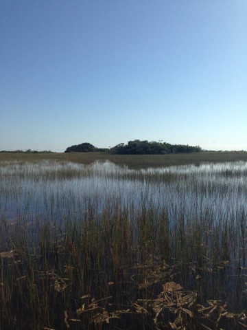 Florida Everglades