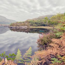 Kilarney National Park