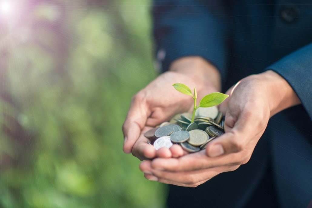 Coins with plant growing representing fundraising