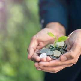 Coins with plant growing representing fundraising