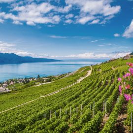 Lake Geneva, Switzerland