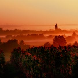 sunset over the vineyards in the loire valley