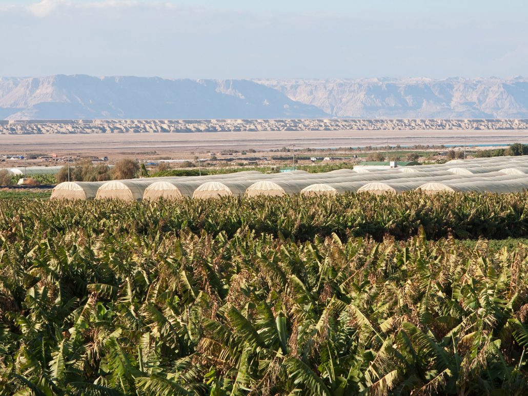 Agriculture-in-the-Dead-Sea-Jordan