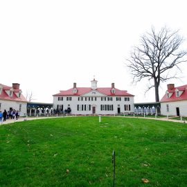 Mount Vernon