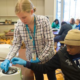 Teens at Q?rius in the National Museum of Natural History