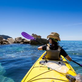 Kayak in New Zealand