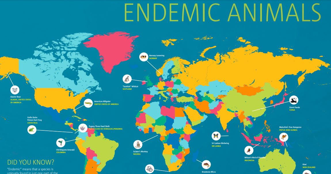 Endemic Animals Around the World | WorldStrides