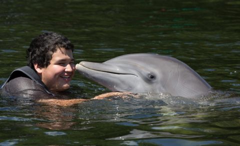 Dolphin Experience, Florida