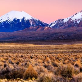 Parinacota Volcano, Bolivia