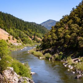 Ancient-Forest_Klamath_California