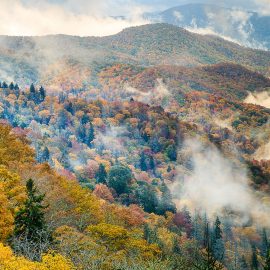 The-Great-Smokey-Mountains_Tennessee