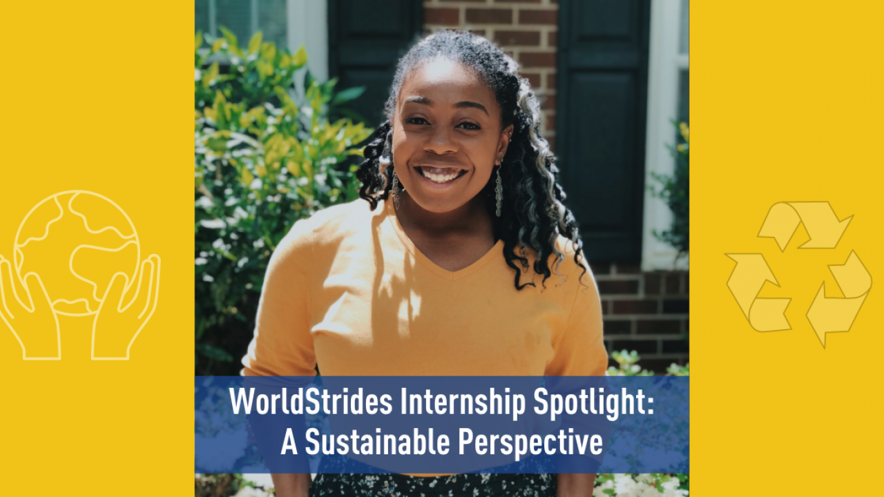 Internship Spotlight 