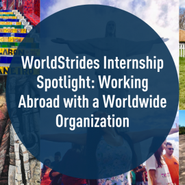 Internship Spotlight