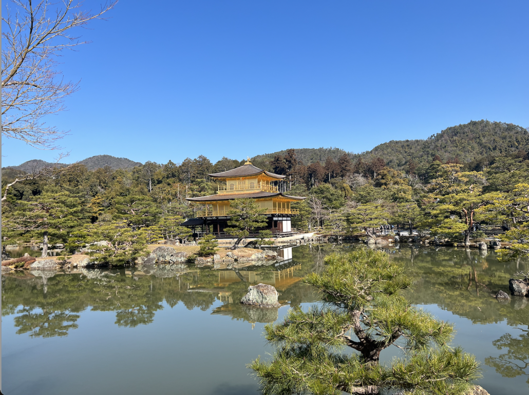 The Traveling Journal: My Japan Adventures
